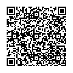 003石家庄经济职业学院校外教学点预报名二维码.png